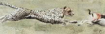 fn000366.jpg