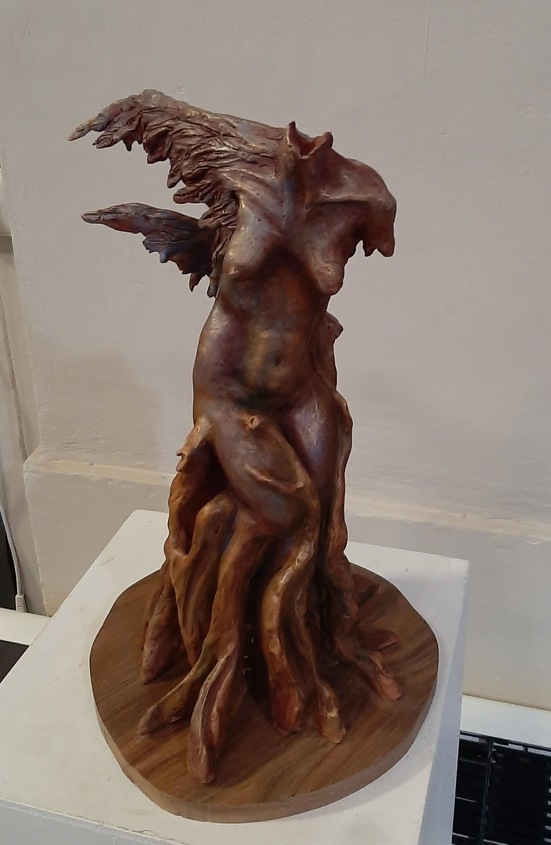 fn000839.jpg